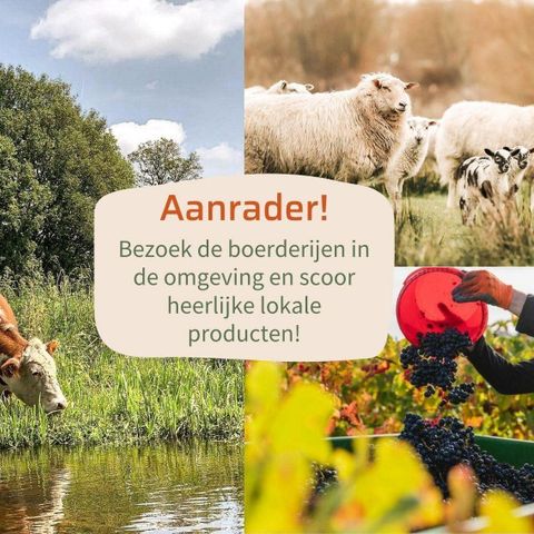 LODGE 4 personnes - Chêne de la Loge