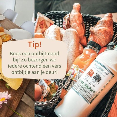 LODGE 4 personnes - Chêne de la Loge