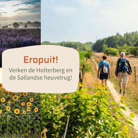 LODGE 4 personnes - Lodge Oak avec deux salles de bains attenantes