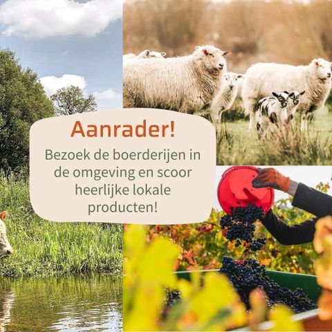 LODGE 2 personnes - Lodge Wellness jacuzzi, sauna et douche solaire