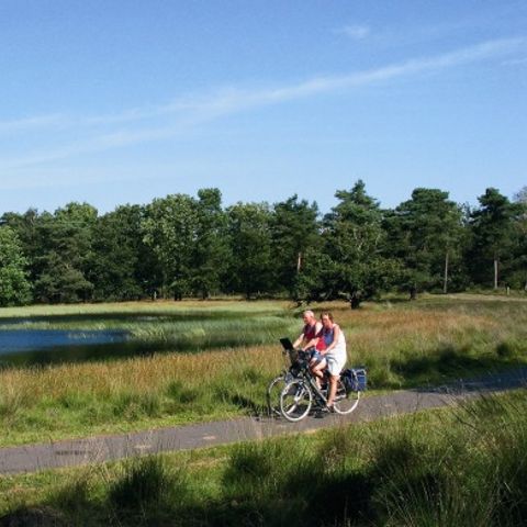 Vakantiepark Hölte - Camping Rijssen-Holten - Image N°5