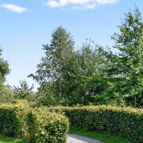 BUNGALOW 6 personnes - 6B1