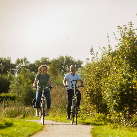 Landal Orveltermarke - Camping Mitte-Drenthe - Image N°3