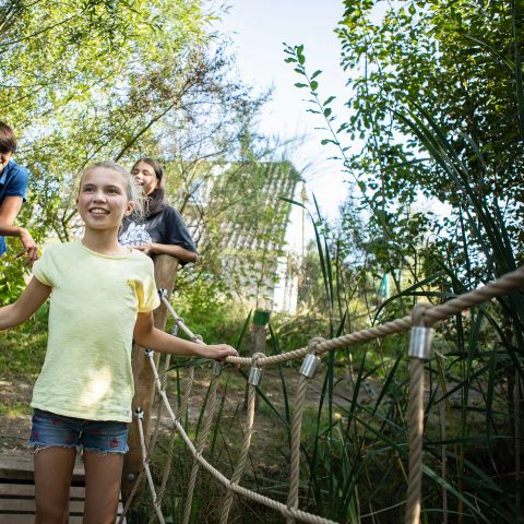 Landal Orveltermarke - Camping Mitte-Drenthe - Image N°5