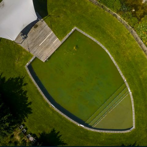 Landal Orveltermarke - Camping Mitte-Drenthe - Image N°3