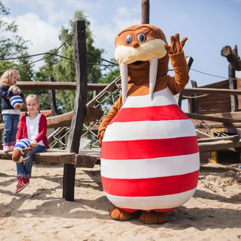 Trixi Ferienpark Zittauer Gebirge - Camping Saxe - Image N°3