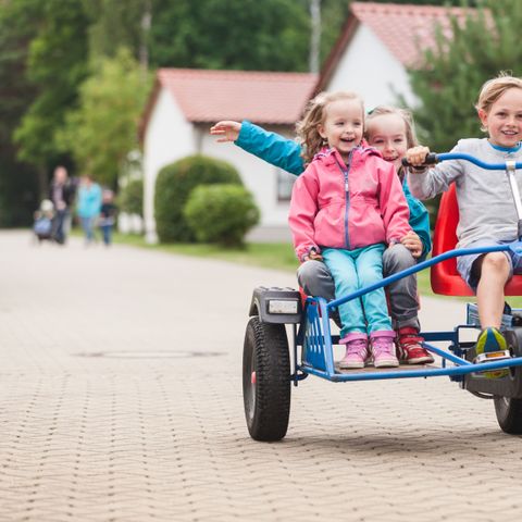 Trixi Ferienpark Zittauer Gebirge - Camping Saxe - Image N°4