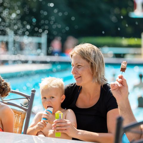 Landal Hunzepark - Camping Aa en Hunze - Image N°3