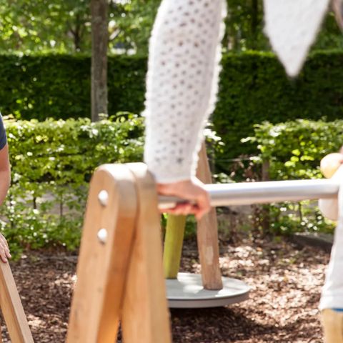 Landal Landgoed Aerwinkel - Camping Roerdalen - Image N°6