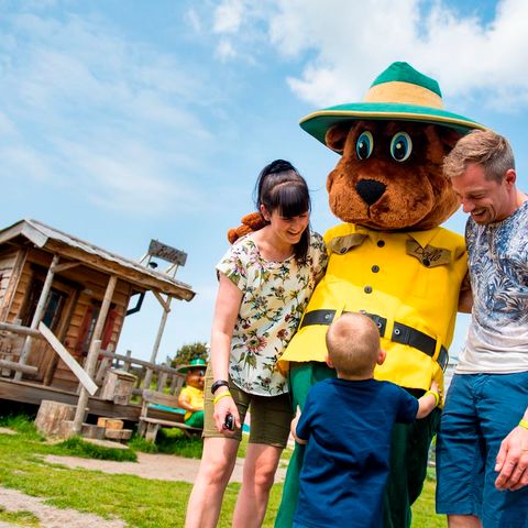 Landal Landgoed Aerwinkel - Camping Roerdalen - Image N°4