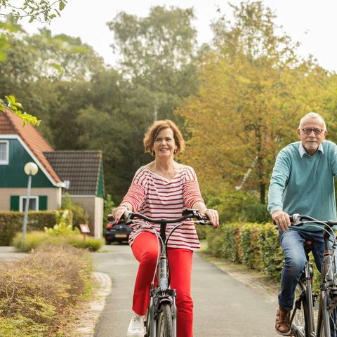 Landal Hunerwold State - Camping Westerveld - Image N°5