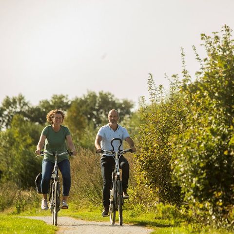 Landal Hunerwold State - Camping Westerveld - Image N°6