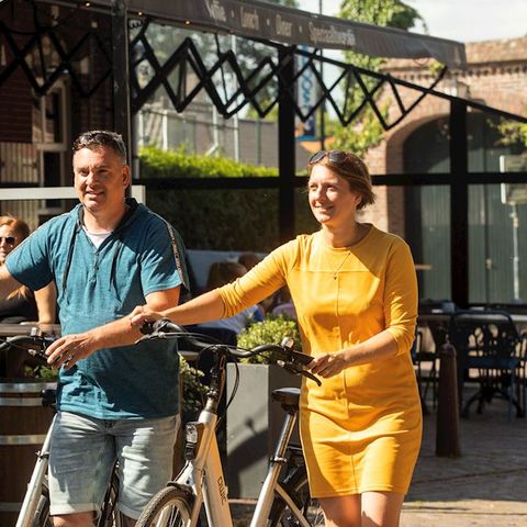 Landal Hunerwold State - Camping Westerveld - Image N°3