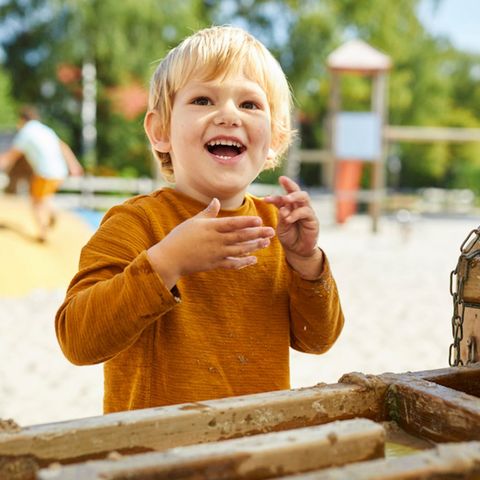 Landal De Vlegge - Camping Hardenberg - Image N°3