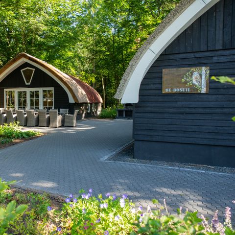 Hébergement pour groupe 18 personnes - Chouette hulotte