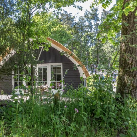 Residence De Eese - Camping Steenwijkerland - Image N°2