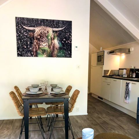 CHALET 4 personnes - Forest Lodge