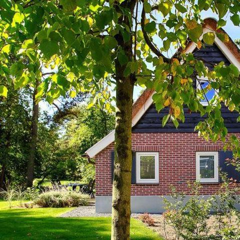 MAISON 6 personnes - Le secret d'Otterlo