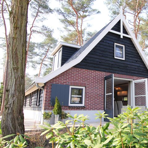 MAISON 6 personnes - Le secret d'Otterlo