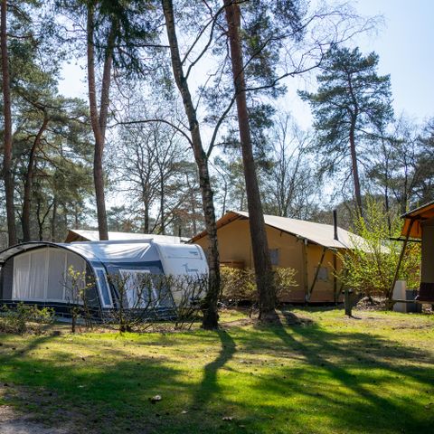 Emplacement - Confort