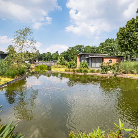 TopParken Landgoed de Scheleberg - Camping Ede - Image N°3