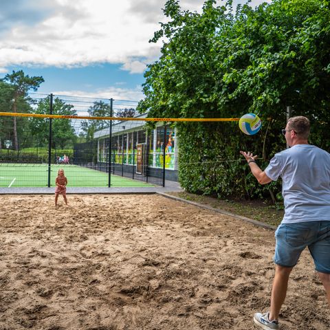 TopParken Resort Bosvallei - Camping Ede - Image N°3