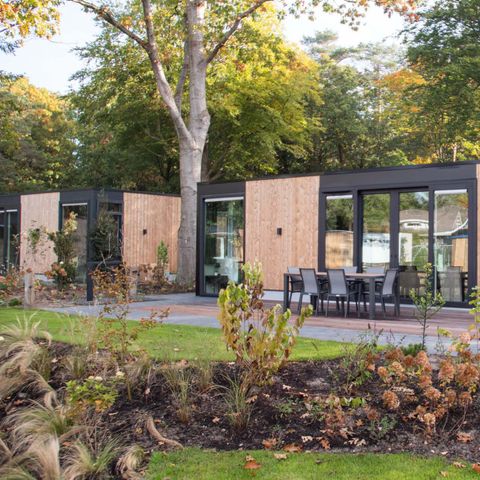 MAISON 4 personnes - Veluwehoeve