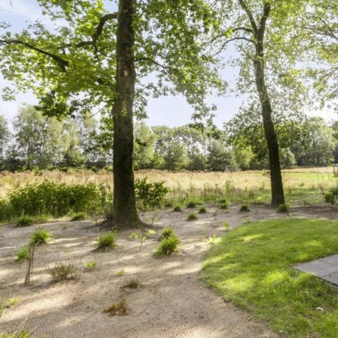 CHALET 4 personnes - Module Bois