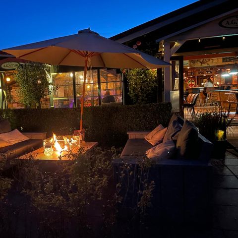 Parc Koudenburg - Camping Ameland - Image N°6