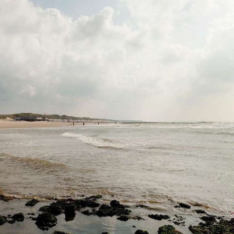 Bungalowpark Aan Noordzee - Camping Schagen - Image N°6