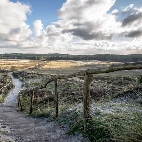 Bungalowpark Aan Noordzee - Camping Schagen - Image N°4
