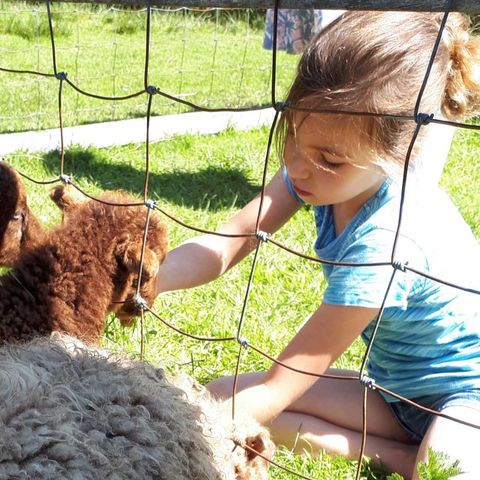 Molecaten Park Wijde Blick - Camping Renesse - Image N°3