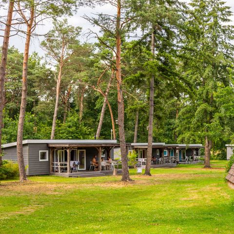 Molecaten Park De Koerberg - Camping Heerde - Image N°3