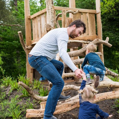 Landal Bungalowpark Hoenderloo - Camping Apeldoorn - Image N°4