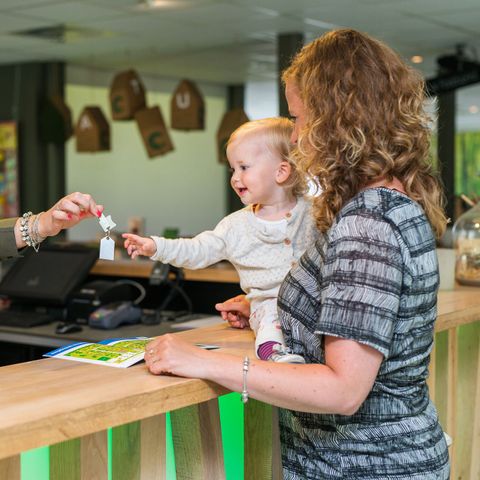 Landal Bungalowpark Hoenderloo - Camping Apeldoorn - Image N°3