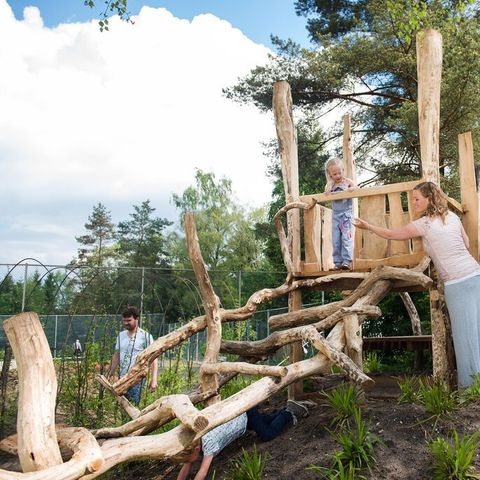 Landal Bungalowpark Hoenderloo - Camping Apeldoorn - Image N°5