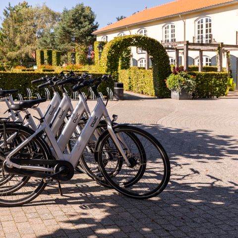 Summio Duc De Brabant - Camping Hilvarenbeek - Image N°4