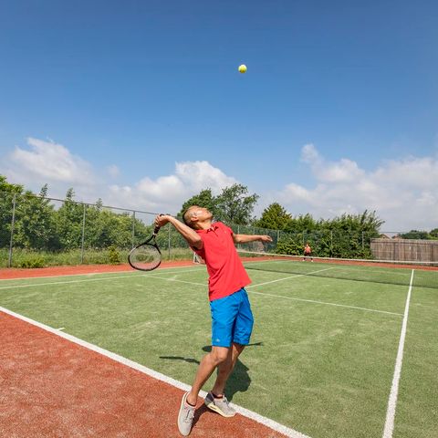 Landal Villapark Livingstone - Camping Schouwen-Duiveland - Image N°4