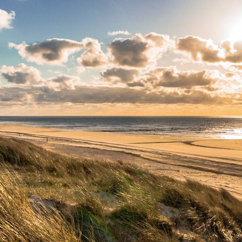 Landal Schuttersbos - Camping Terschelling - Image N°3