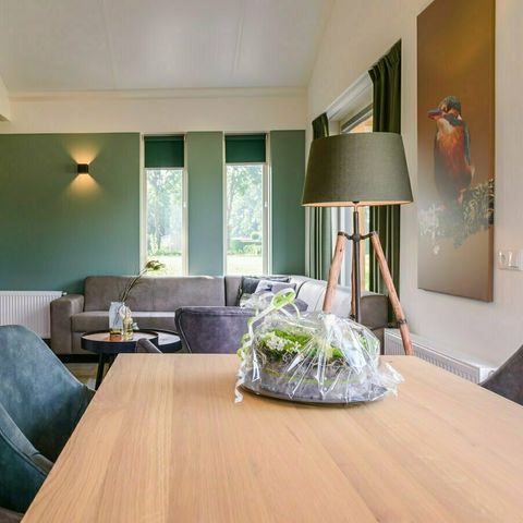 VILLA 6 personnes - Jaccuzzi Birdfield