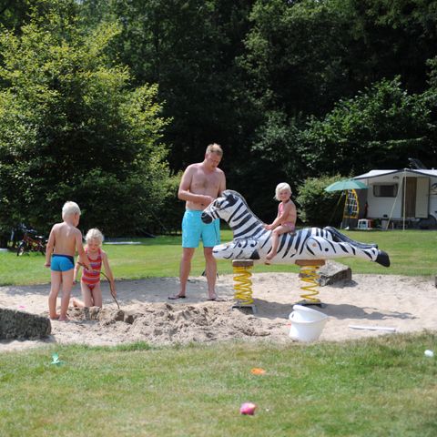 Veluwecamping 't Schinkel - Camping Apeldoorn - Image N°6
