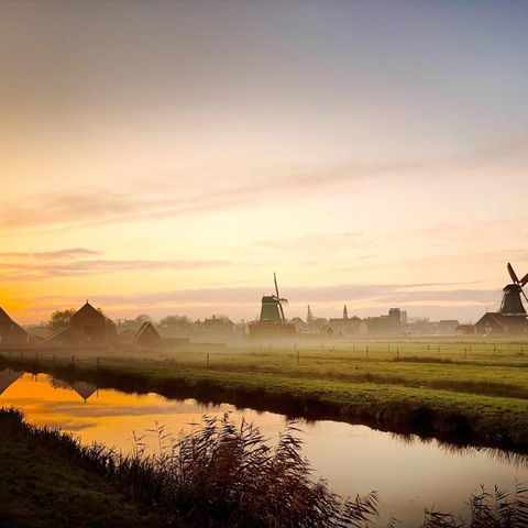 BUNGALOW 6 personnes - Terrain d'eau avec sauna