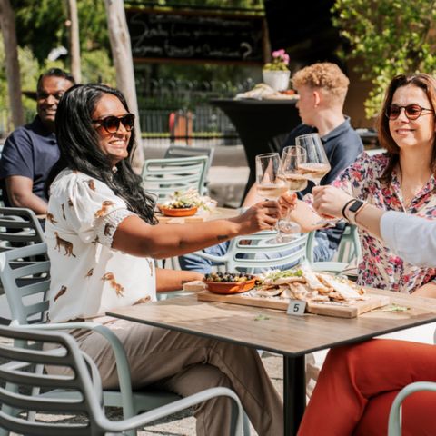 De Thijmse Berg - Camping Rhenen - Image N°2