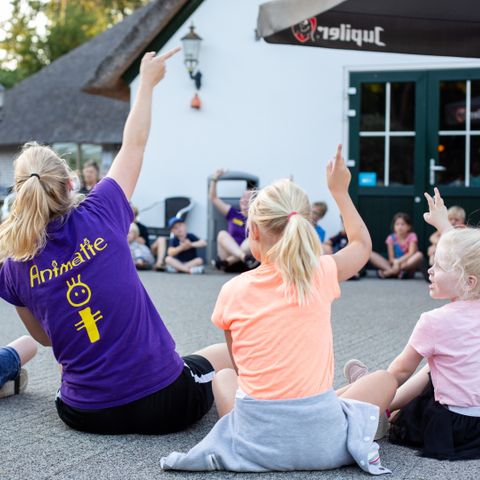 De Thijmse Berg - Camping Rhenen - Image N°6