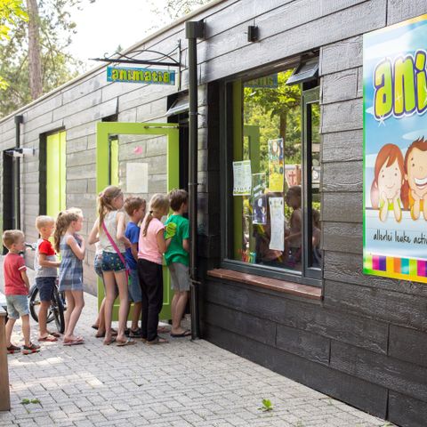 De Thijmse Berg - Camping Rhenen - Image N°4