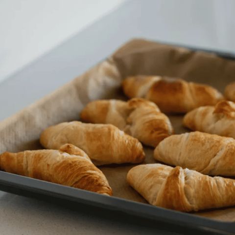 Camping de Vossenburcht - Camping Staphorst - Image N°6