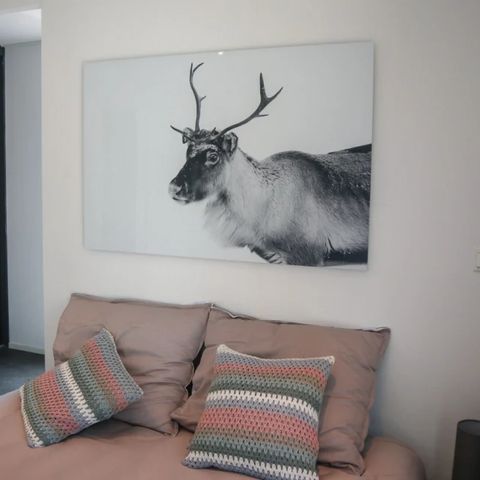 BUNGALOW 6 personnes - Cube Maximum