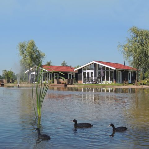 BUNGALOW 6 personnes - Ferme du saule