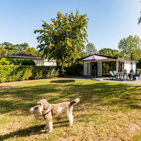BUNGALOW 5 personnes - Maison de campagne MIVA