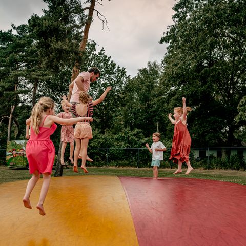 Vakantiepark Westerbergen - Camping De Wolden - Image N°4
